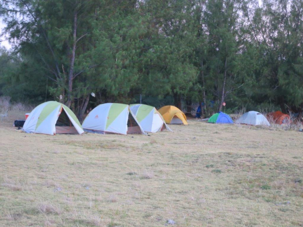 The researchers and government officials set up camp.